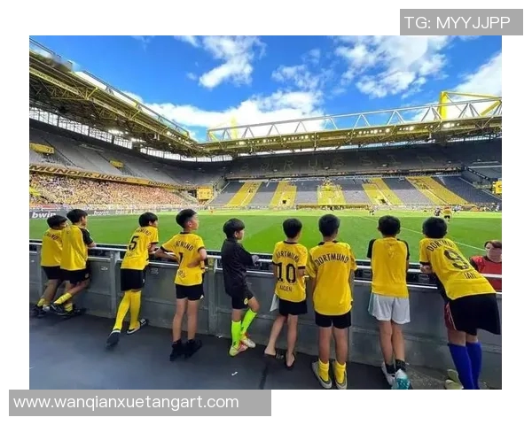 施密特呼吁多特蒙德进一步提升实力